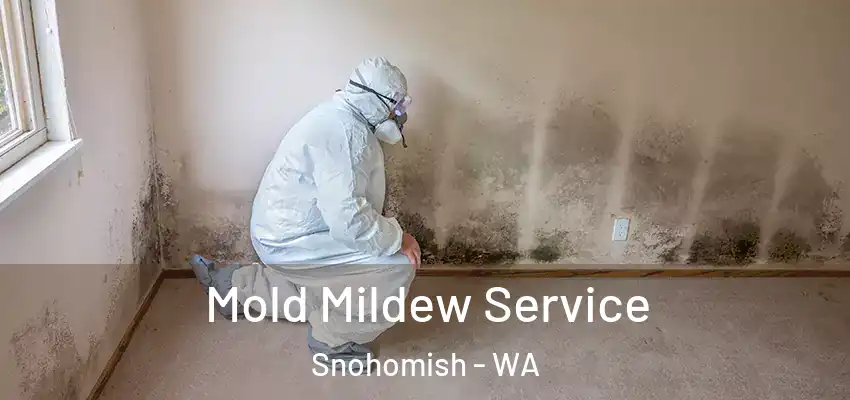 Mold Mildew Service Snohomish - WA