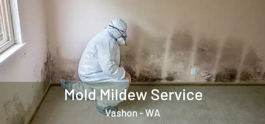 Mold Mildew Service Vashon - WA