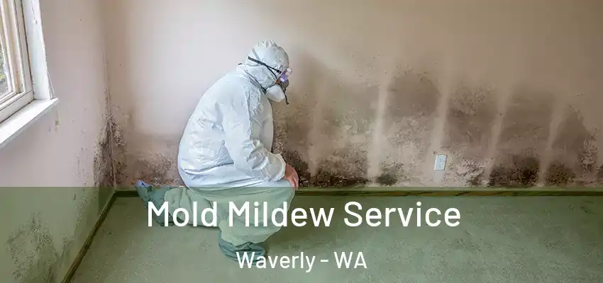 Mold Mildew Service Waverly - WA