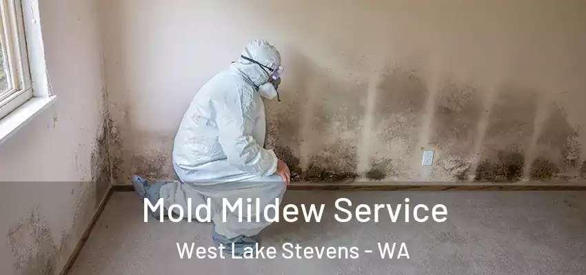 Mold Mildew Service West Lake Stevens - WA