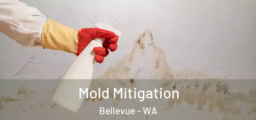  Mold Mitigation Bellevue - WA
