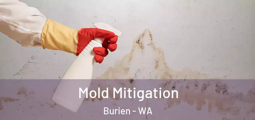  Mold Mitigation Burien - WA