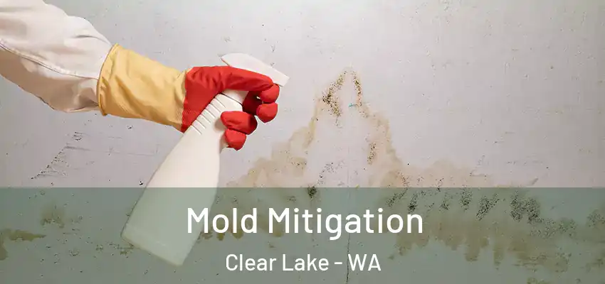  Mold Mitigation Clear Lake - WA