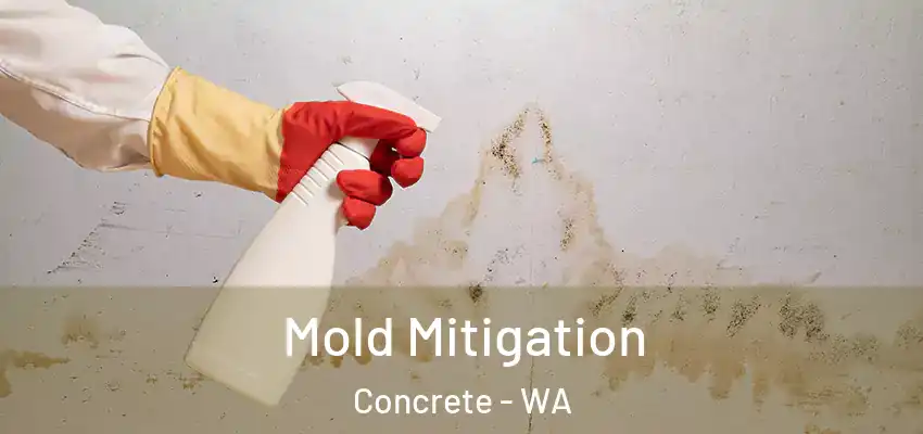  Mold Mitigation Concrete - WA