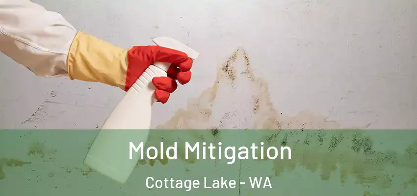  Mold Mitigation Cottage Lake - WA
