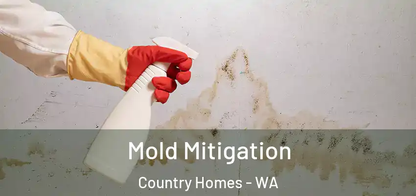 Mold Mitigation Country Homes - WA