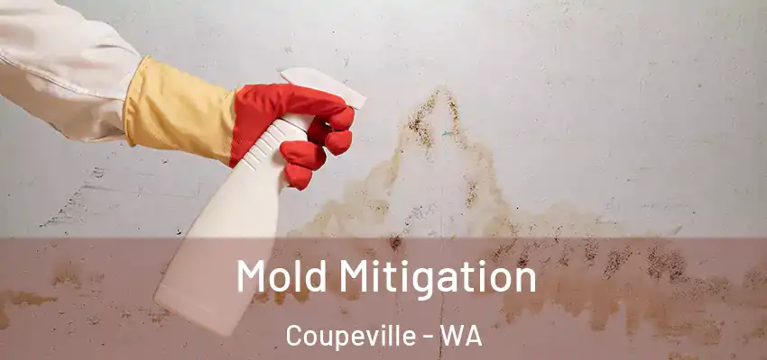 Mold Mitigation Coupeville - WA