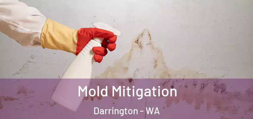  Mold Mitigation Darrington - WA
