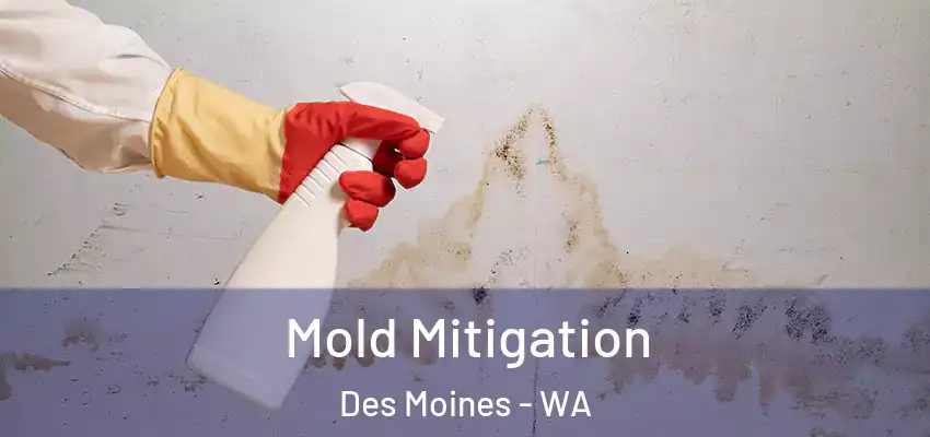  Mold Mitigation Des Moines - WA