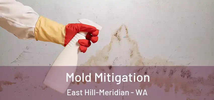  Mold Mitigation East Hill-Meridian - WA