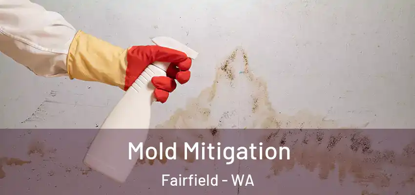  Mold Mitigation Fairfield - WA