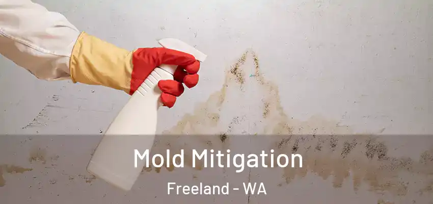  Mold Mitigation Freeland - WA