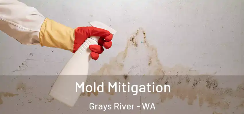  Mold Mitigation Grays River - WA
