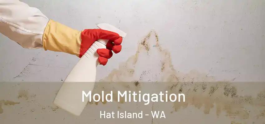  Mold Mitigation Hat Island - WA