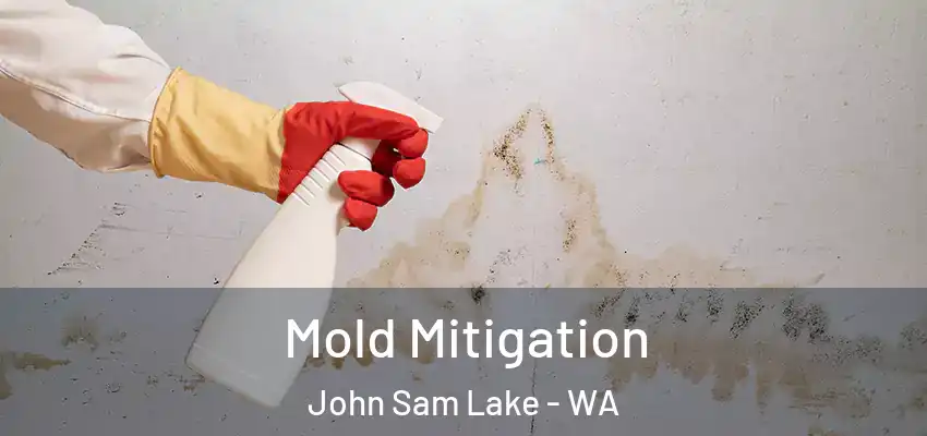  Mold Mitigation John Sam Lake - WA