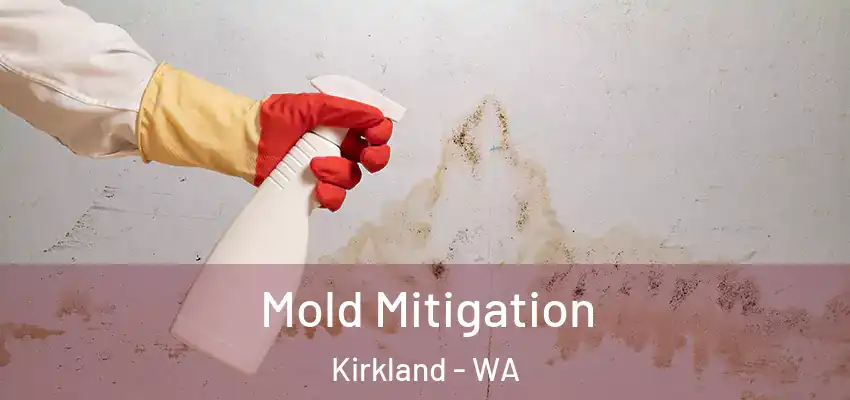  Mold Mitigation Kirkland - WA