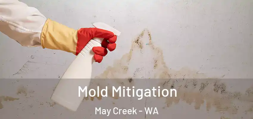  Mold Mitigation May Creek - WA