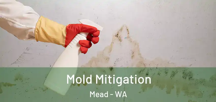  Mold Mitigation Mead - WA