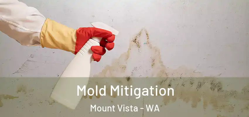  Mold Mitigation Mount Vista - WA