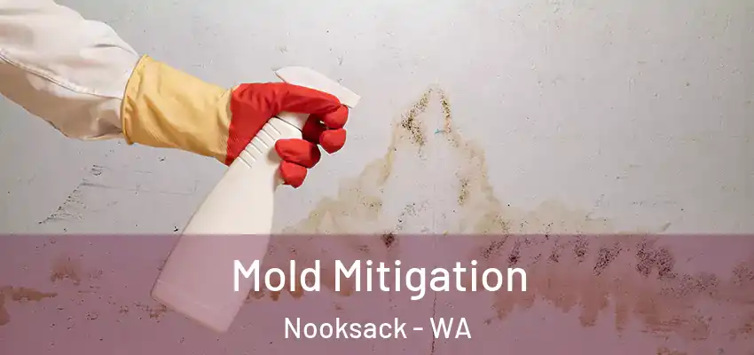  Mold Mitigation Nooksack - WA