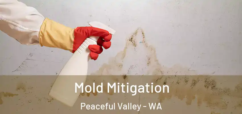  Mold Mitigation Peaceful Valley - WA