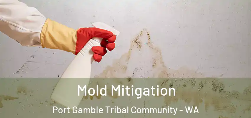  Mold Mitigation Port Gamble Tribal Community - WA