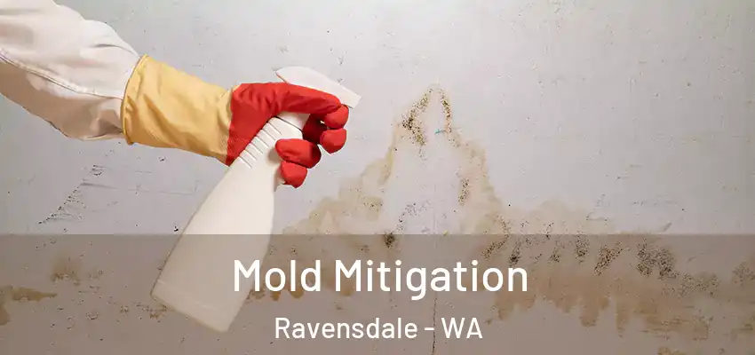  Mold Mitigation Ravensdale - WA