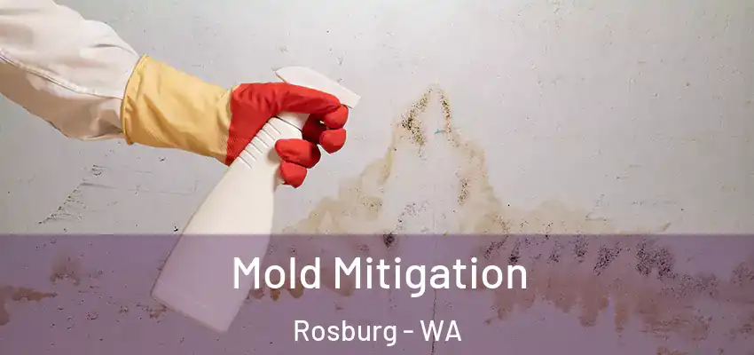  Mold Mitigation Rosburg - WA