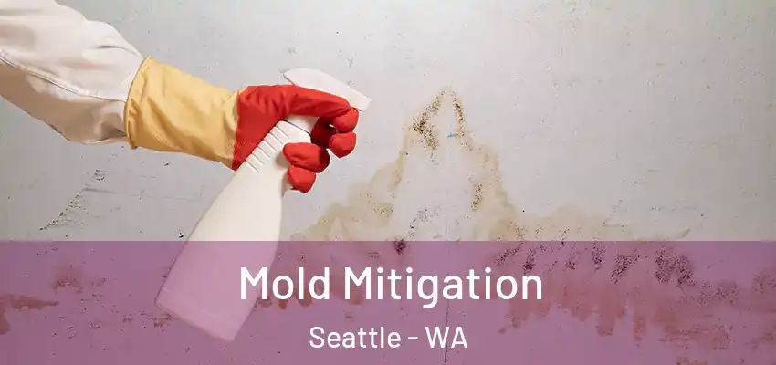  Mold Mitigation Seattle - WA