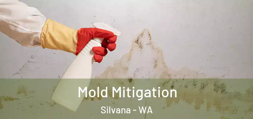  Mold Mitigation Silvana - WA