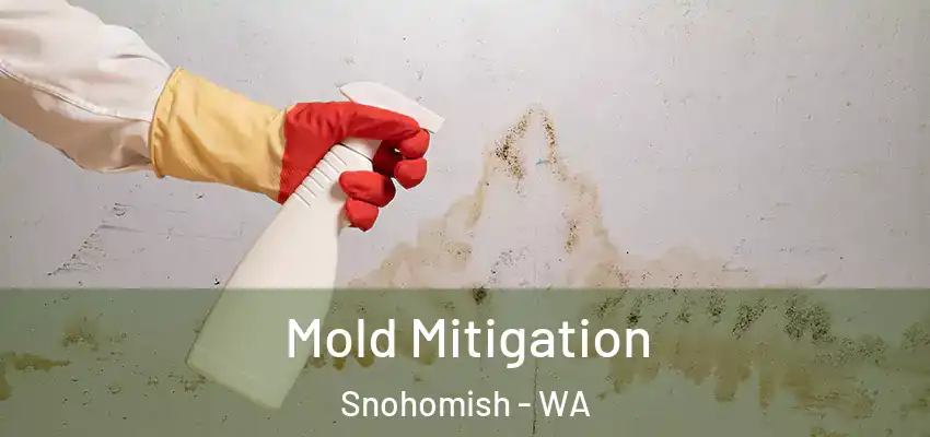 Mold Mitigation Snohomish - WA