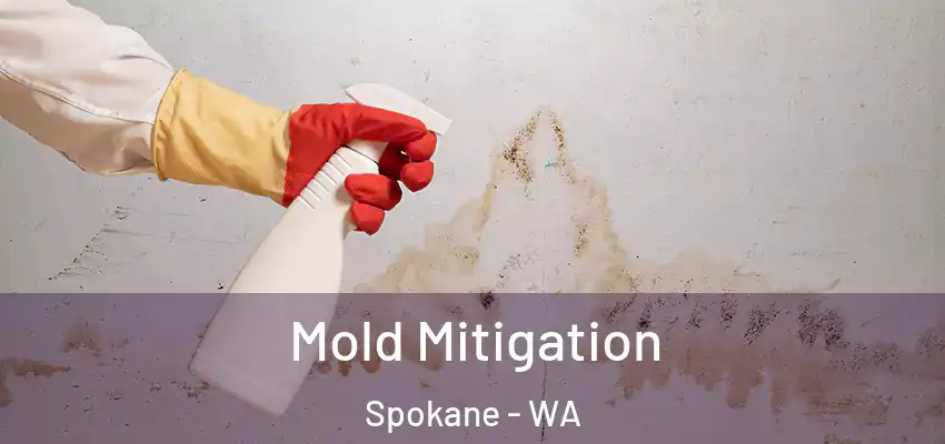  Mold Mitigation Spokane - WA