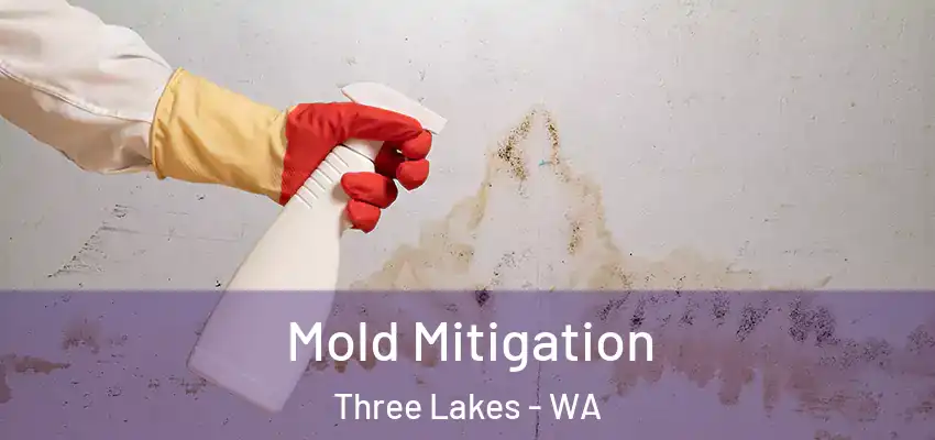 Mold Mitigation Three Lakes - WA