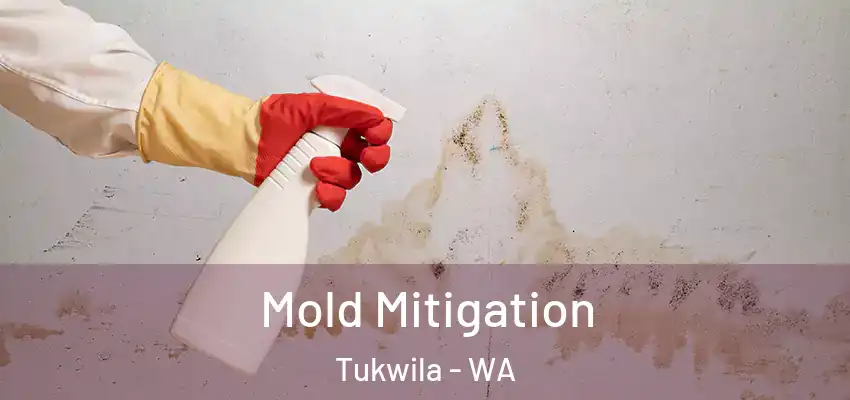  Mold Mitigation Tukwila - WA