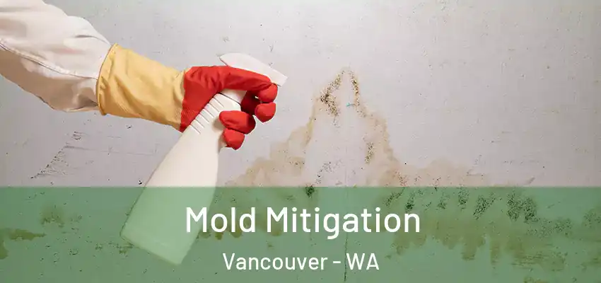  Mold Mitigation Vancouver - WA