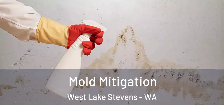 Mold Mitigation West Lake Stevens - WA