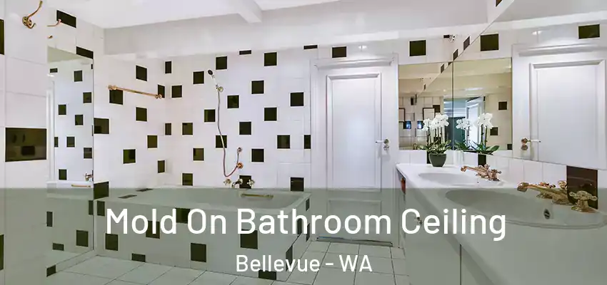 Mold On Bathroom Ceiling Bellevue - WA