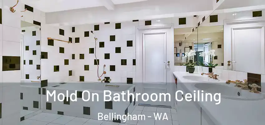  Mold On Bathroom Ceiling Bellingham - WA