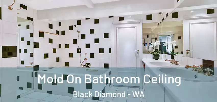  Mold On Bathroom Ceiling Black Diamond - WA