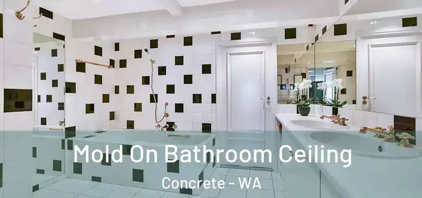 Mold On Bathroom Ceiling Concrete - WA
