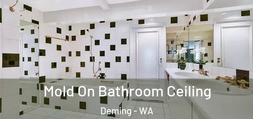  Mold On Bathroom Ceiling Deming - WA