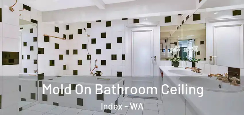 Mold On Bathroom Ceiling Index - WA