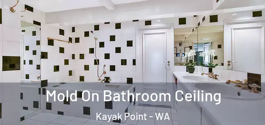  Mold On Bathroom Ceiling Kayak Point - WA