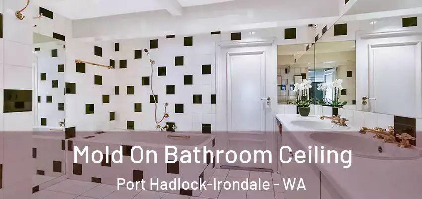  Mold On Bathroom Ceiling Port Hadlock-Irondale - WA