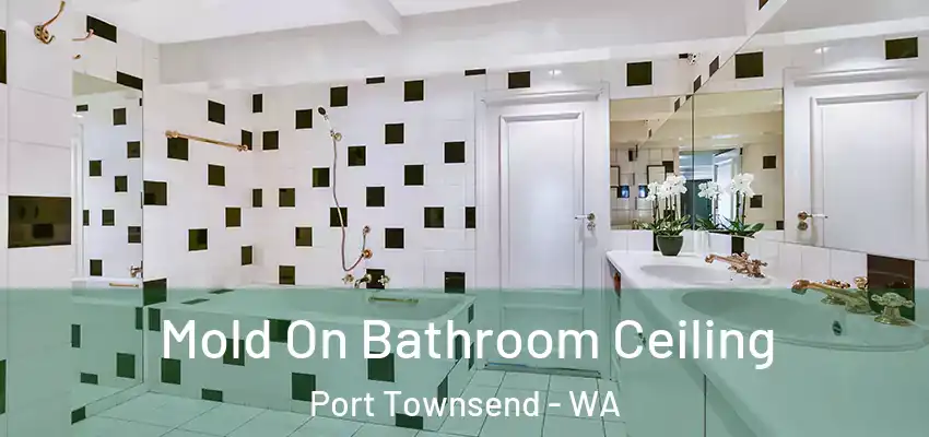  Mold On Bathroom Ceiling Port Townsend - WA