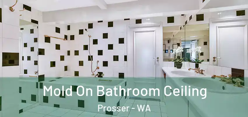  Mold On Bathroom Ceiling Prosser - WA