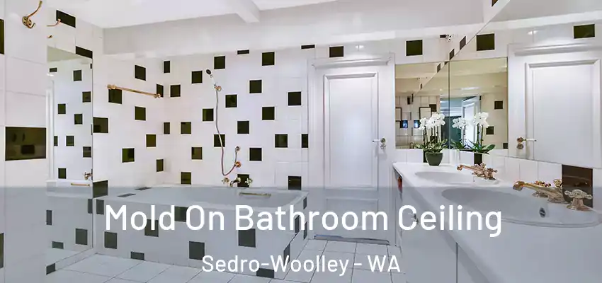  Mold On Bathroom Ceiling Sedro-Woolley - WA