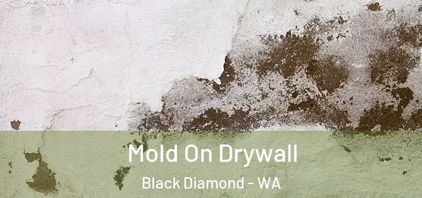  Mold On Drywall Black Diamond - WA