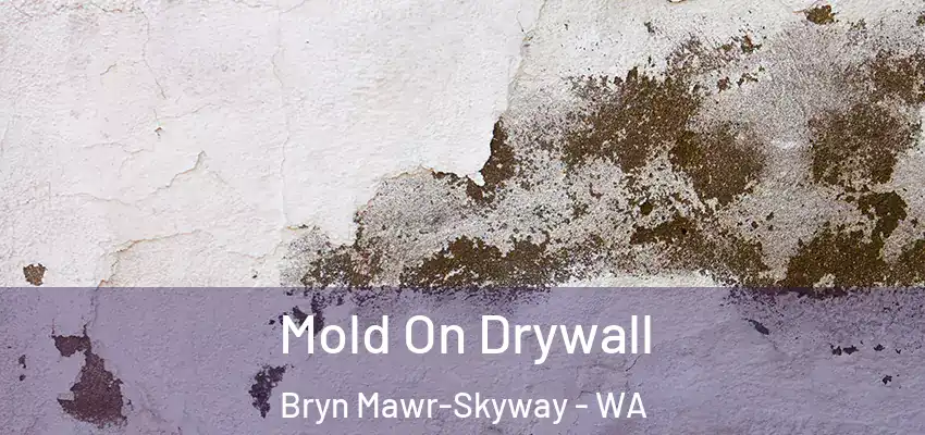 Mold On Drywall Bryn Mawr-Skyway - WA