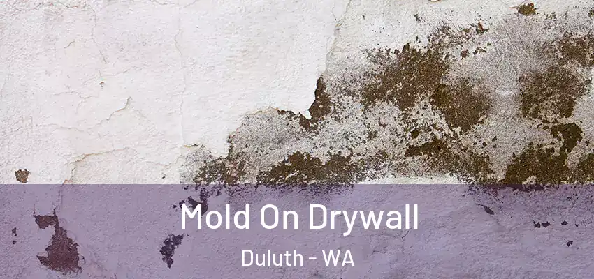  Mold On Drywall Duluth - WA